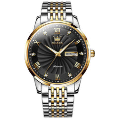 OLEVS 6630 – Men's Sunburst Dial Mechanical Watch