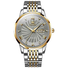 OLEVS 6630 – Men's Sunburst Dial Mechanical Watch