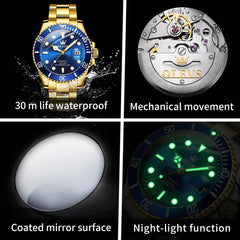 OLEVS 6650 Stainless Steel Mechanical Dive Watch for Men - Gold Black Watch | Olevs Watch Store