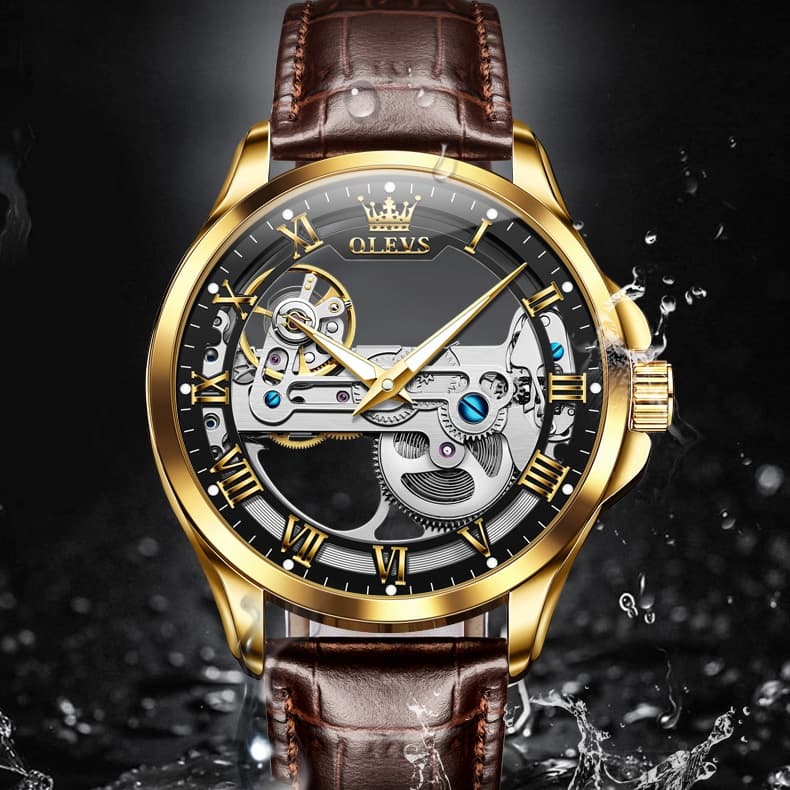 OLEVS "The Artisan" Fully Skeletonized Automatic Watch | Double-Sided Transparent View