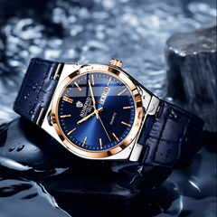 Stellar Aegis Watch
