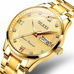 OLEVS 6603 Classic Automatic Mechanical Diamond Watch for Men - All Gold Watch | Olevs Watch Store