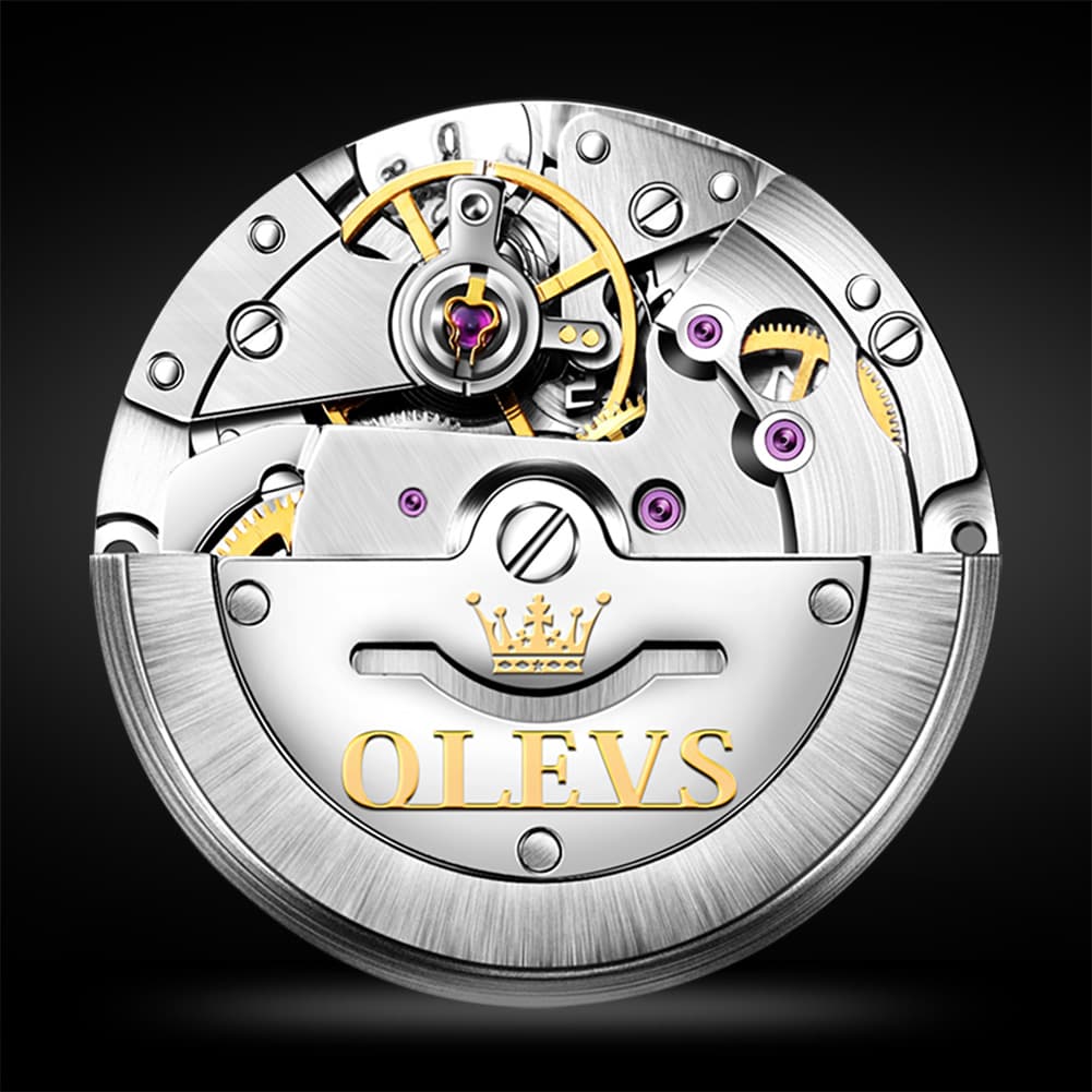 OLEVS 6630 Sunburst Dial Mechanical Watch for Men - Two Tone Gray Watch | Olevs Watch Store