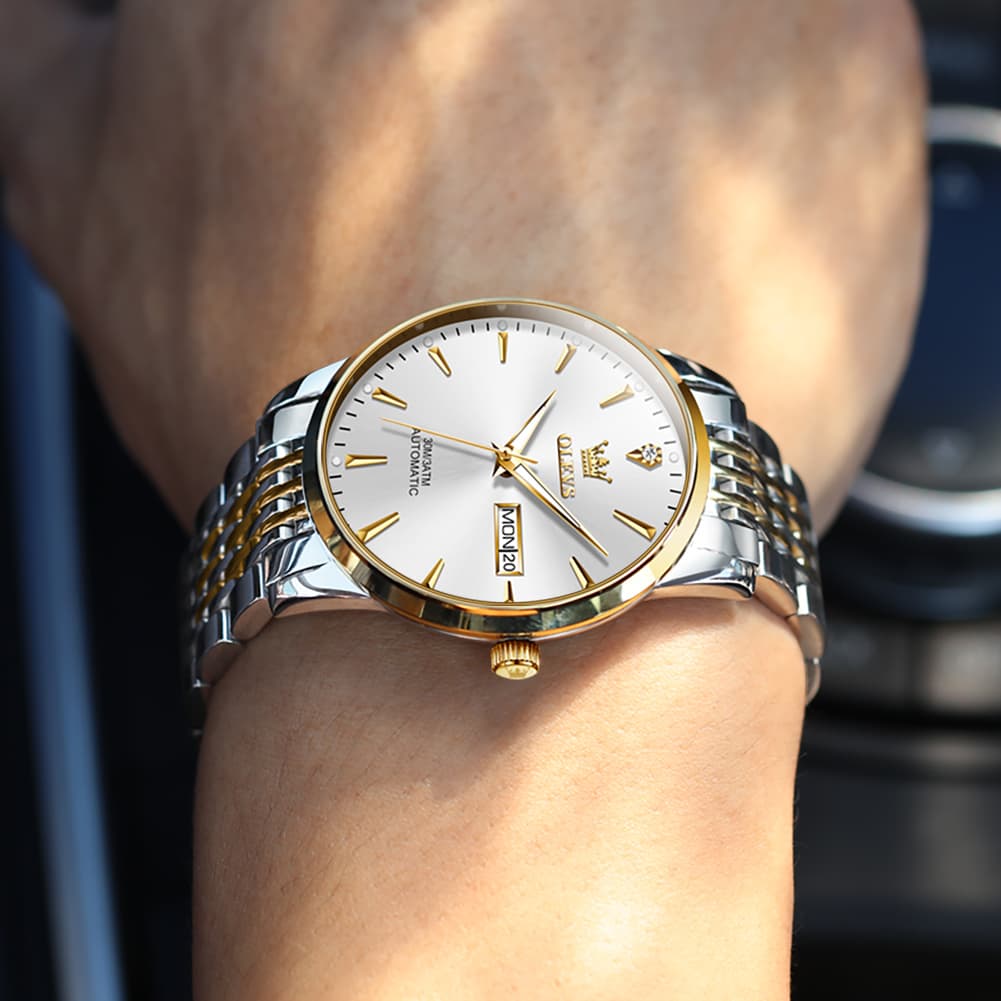 OLEVS 6635 Stainless Steel Automatic Mechanical Watch for Men - All Gold Watch | Olevs Watch Store