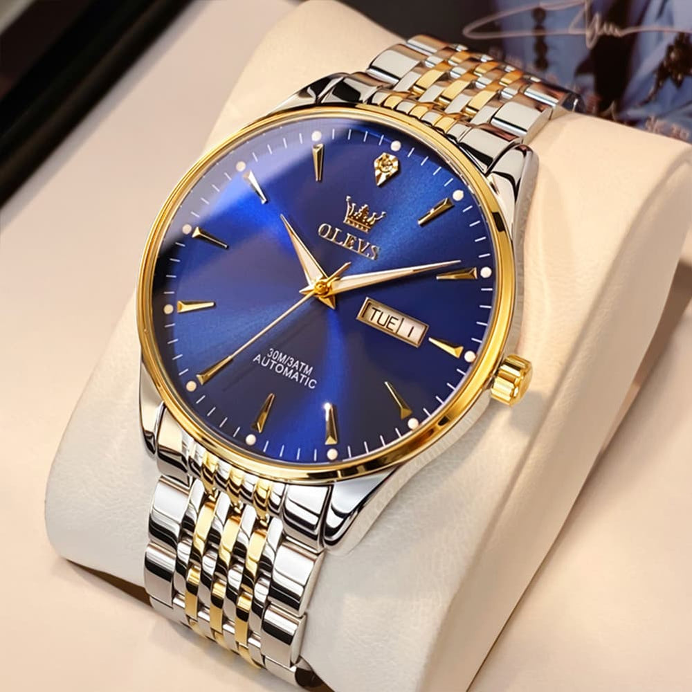 OLEVS 6635 Stainless Steel Automatic Mechanical Watch for Men - All Gold Watch | Olevs Watch Store