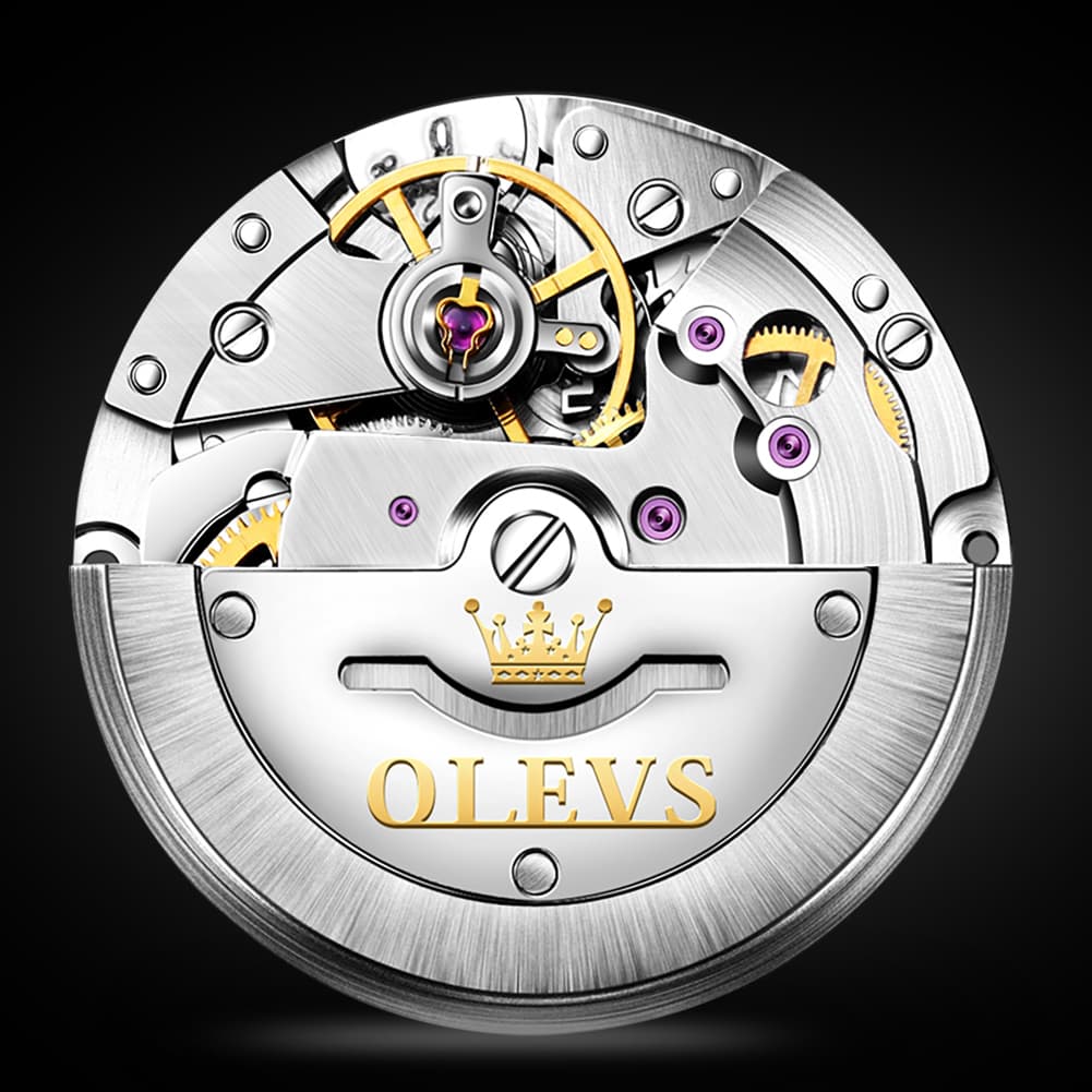 OLEVS 6635 Stainless Steel Automatic Mechanical Watch for Men - All Gold Watch | Olevs Watch Store