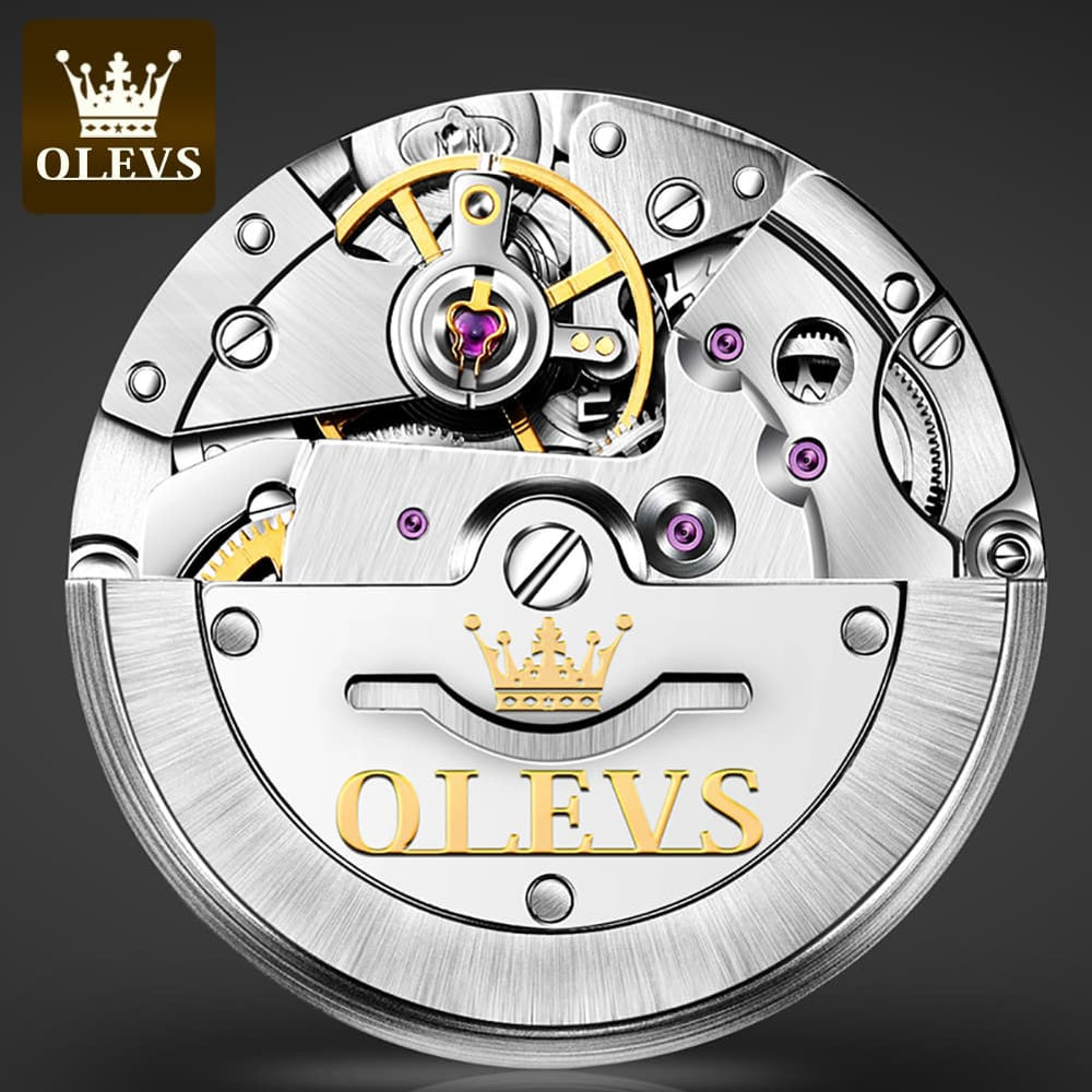 OLEVS 6665 Stainless Steel Pi Xiu Lucky Mechanical Watch for Men - Leather Gold Watch | Olevs Watch Store