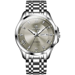 OLEVS 6702 Diamond Dial Automatic Mechanical Watch For Men - Silver Grey Watch | Olevs Watch Store