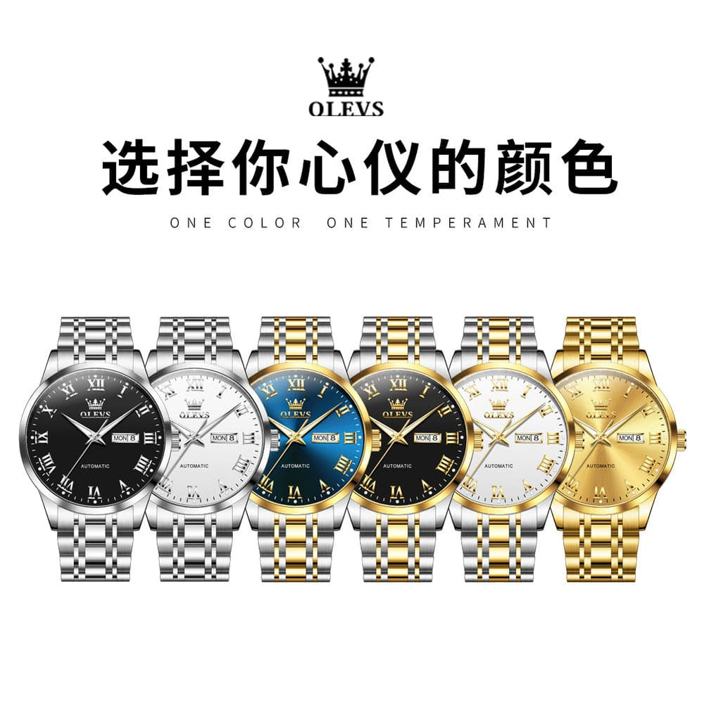 OLEVS 7060 Classic Roman Numeral Automatic Watch For Men - All Gold Watch | Olevs Watch Store