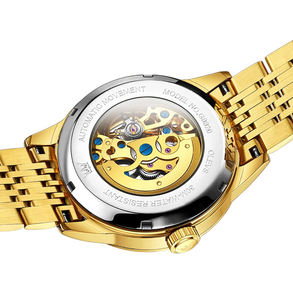 OLEVS Full Skeleton Diamond Dial Automatic Mechanical Watch 9920 for Men - All Gold Watch | Olevs Watch Store